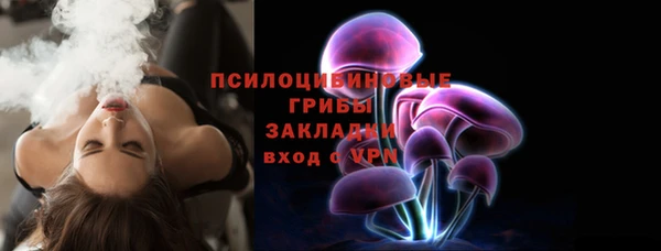 молекула духа Алзамай