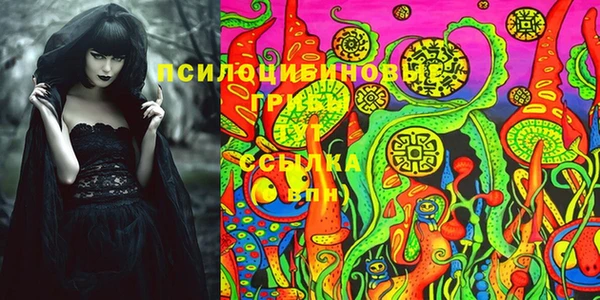 молекула духа Алзамай