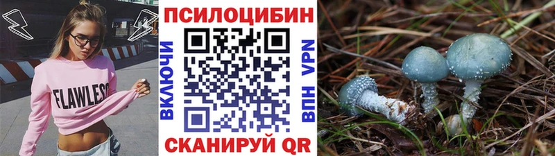 Псилоцибиновые грибы Psilocybe  Белгород 
