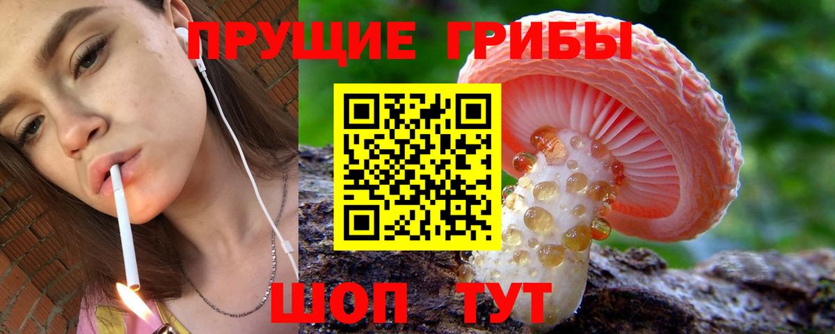 Псилоцибиновые грибы Psilocybe  Вход с VPN  Псилоцибиновые грибы Magic Shrooms  Белгород 