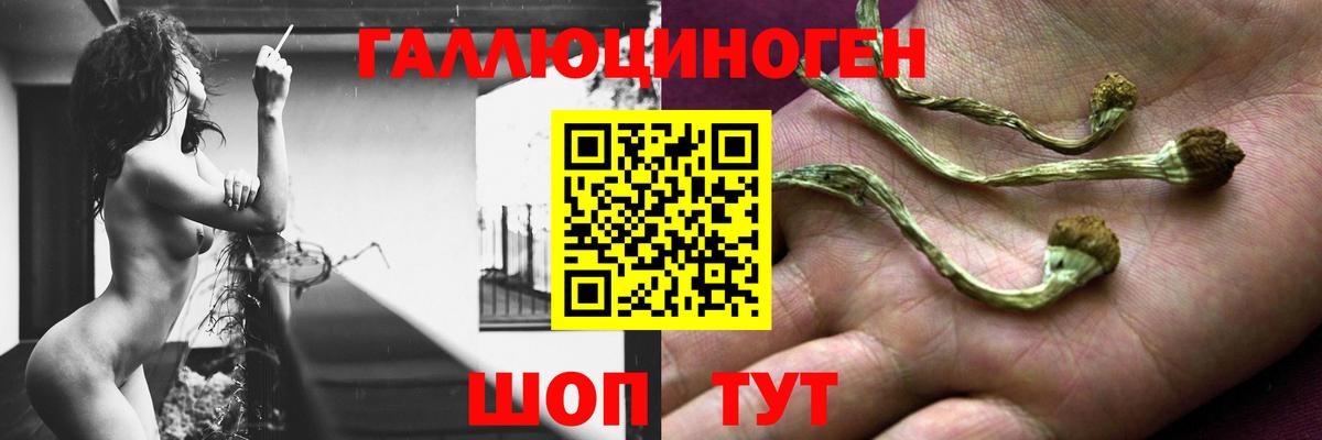 Альфа ПВП Белгород